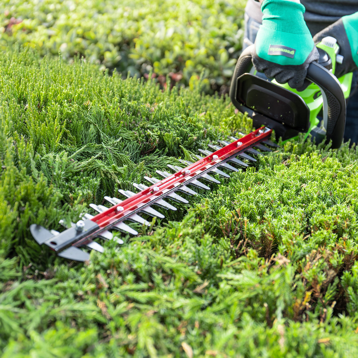 POWERALL 24V nožnice na živý plot 61cm - iba náradie